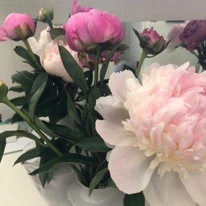 Meet your Posher, Ella